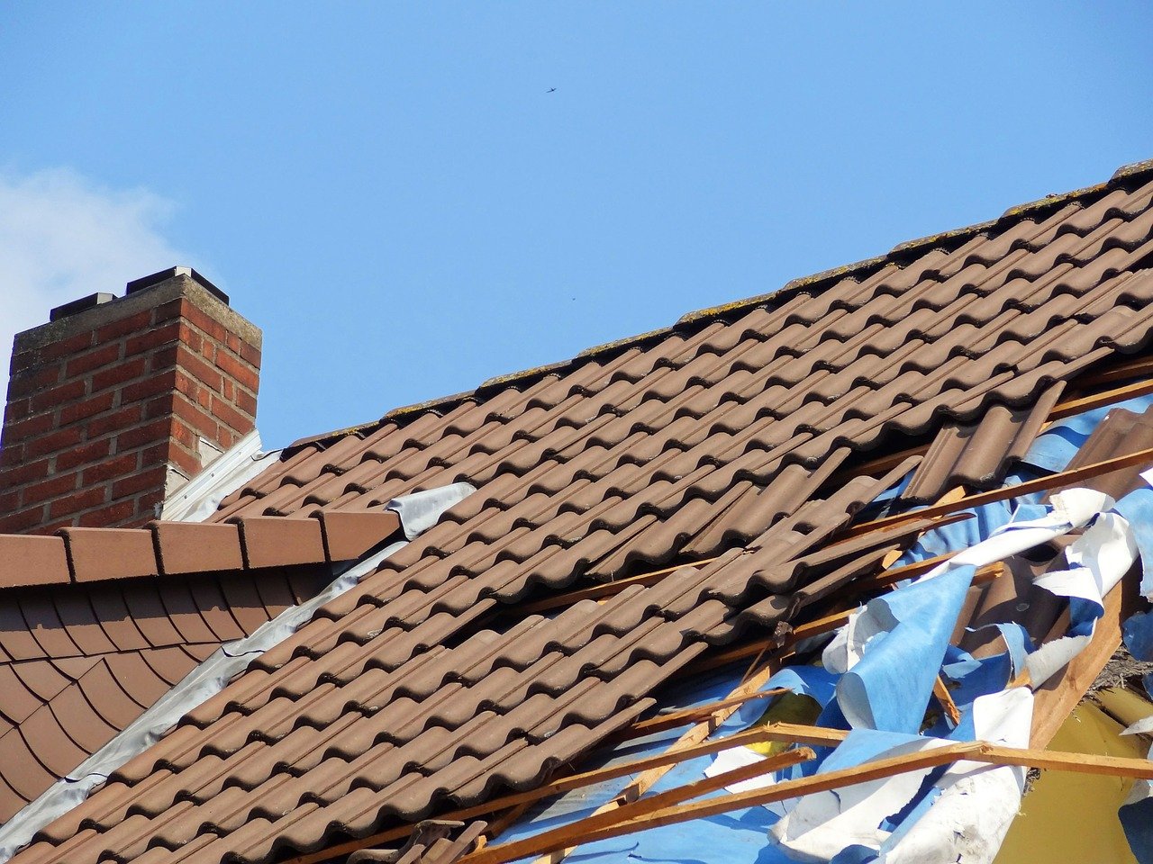 Water Dry Out and Mold, Lexington Water and Mold Damage Repair, Jacob&#039;s Ladder Roofing and Restoration