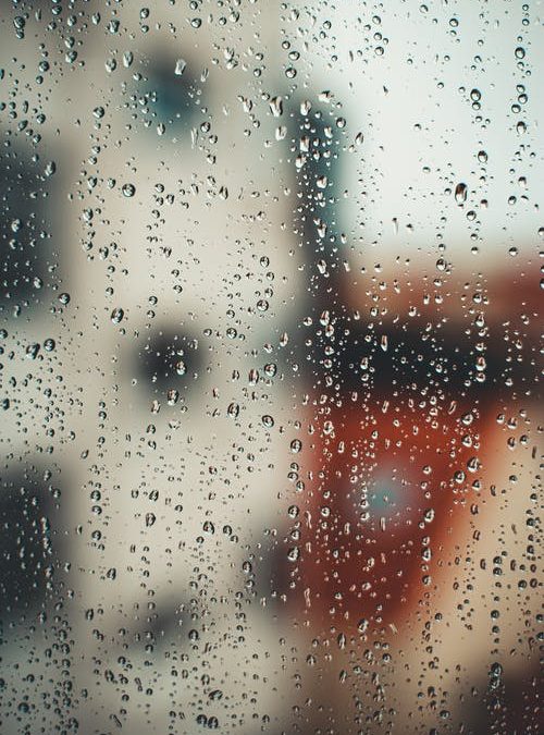 How to Prevent Dampness and Mold Build-up in Your Home